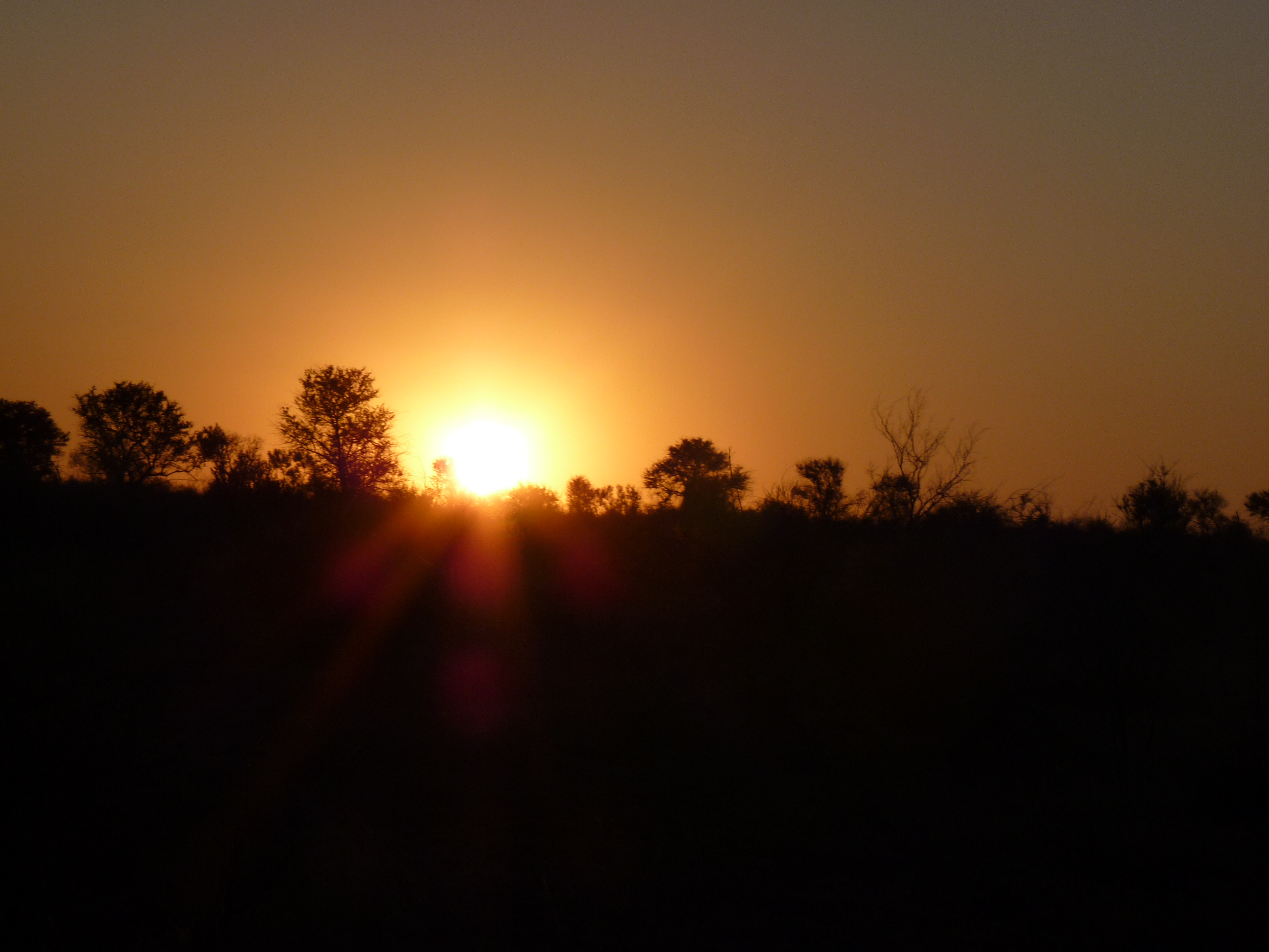 coucher soleil lumiere claire sur nature